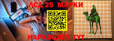 ПСИЛОЦИБИНОВЫЕ ГРИБЫ Донской